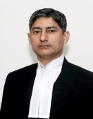 Judge